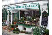 Gärtnerei Lein - GALLERY