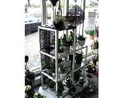 Gärtnerei Lein - GALLERY