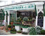 Gärtnerei Lein - GALLERY
