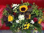 Gärtnerei Moser - GALLERY