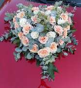 Gärtnerei Pitterle - GALLERY