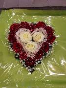 Gärtnerei Pitterle - GALLERY