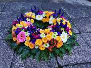 Gärtnerei Pitterle - GALLERY