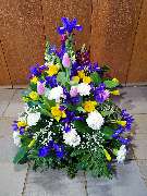 Gärtnerei Pitterle - GALLERY