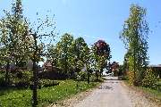 Gärtnerei Schlegel Hinterholz - GALLERY