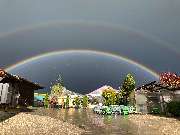 Gärtnerei Schlegel Hinterholz - GALLERY