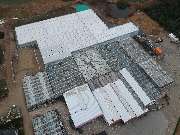 Gärtnerei Schliebener eGbR - GALLERY