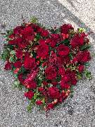 Gärtnerei Siegl GbR | Gärtnerei Pfaffenhofen - GALLERY