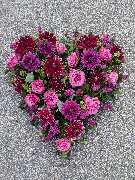 Gärtnerei Siegl GbR | Gärtnerei Pfaffenhofen - GALLERY