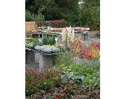 Gärtnerei Tittel - GALLERY