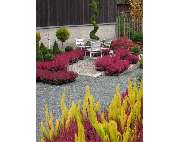 Gärtnerei Tittel - GALLERY