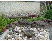 Gärtnerei Tittel - GALLERY