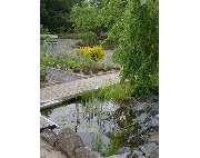 Gärtnerei Tittel - GALLERY