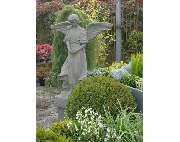 Gärtnerei Tittel - GALLERY