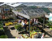 Gärtnerei Übelhack - GALLERY