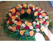 Gärtnerei Übelhack - GALLERY