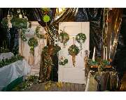 Gärtnerei Übelhack - GALLERY