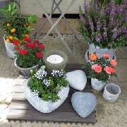 Gärtnerei und Blumenhaus Oelkrug Heinz Inh. Monika Mäder - GALLERY