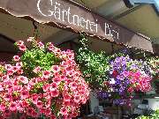 Gärtnerei und Blumenladen Bichl - GALLERY