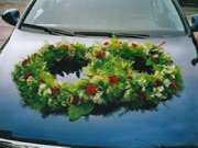 Gärtnerei Weinberger - GALLERY