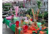 Gärtnerei Ziegengeist - GALLERY