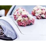 Gärtnerei Zimmermann FLORALE SCHMIEDE e.k. - Inh. Sven KORNHERR - GALLERY