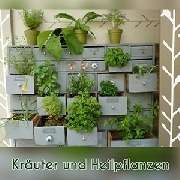 Gärtnerei Zimmermann FLORALE SCHMIEDE e.k. - Inh. Sven KORNHERR - GALLERY