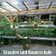 Gärtnerei Zimmermann FLORALE SCHMIEDE e.k. - Inh. Sven KORNHERR - GALLERY