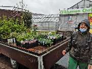 Gärtnereien Koch & Christmann - Grabpflege, Blumen + Gartengestaltung - GALLERY