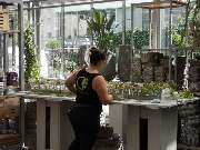 Gärtnereien Koch & Christmann - Grabpflege, Blumen + Gartengestaltung - GALLERY