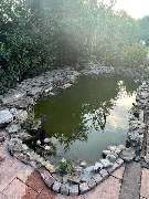 GALA-BAU Daniel Barth - Teichsanierung 3