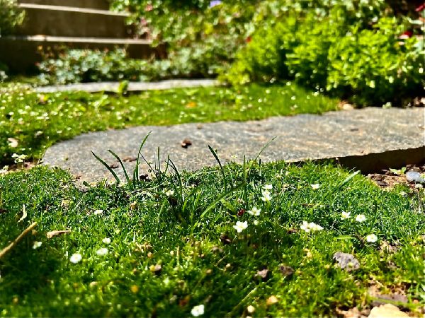 GaLapflege Bergmann - 3