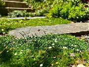 GaLapflege Bergmann - 3