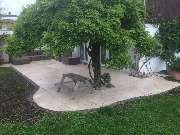 GaLapflege Bergmann - 4