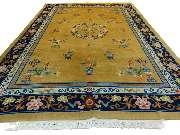 Gallery Jarrodi - GALLERY