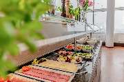 Garner Hotel Berlin - Spandau by IHG - GALLERY