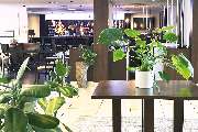 Garner Hotel Mainz by IHG - GALLERY