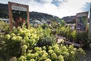 Garten-Center Kremer GmbH - GALLERY