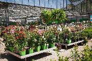 Garten-Center Kremer GmbH - GALLERY