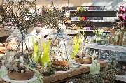 Garten-Center Kremer GmbH - GALLERY