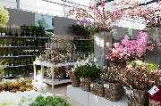 Garten-Center Kremer GmbH - GALLERY