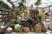 Garten-Center Kremer GmbH - GALLERY