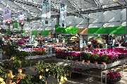 Garten-Center Kremer GmbH - GALLERY