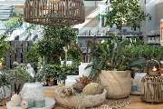 Garten-Center Kremer GmbH - GALLERY