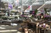 Garten-Center Kremer GmbH - GALLERY