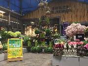 Garten-Center Kremer GmbH - GALLERY