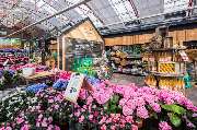 Garten-Center Kremer GmbH - GALLERY