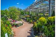 Garten-Center Spiering GmbH - GALLERY