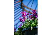 Garten-Center Spiering GmbH - GALLERY