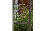 Garten-Center Spiering GmbH - GALLERY